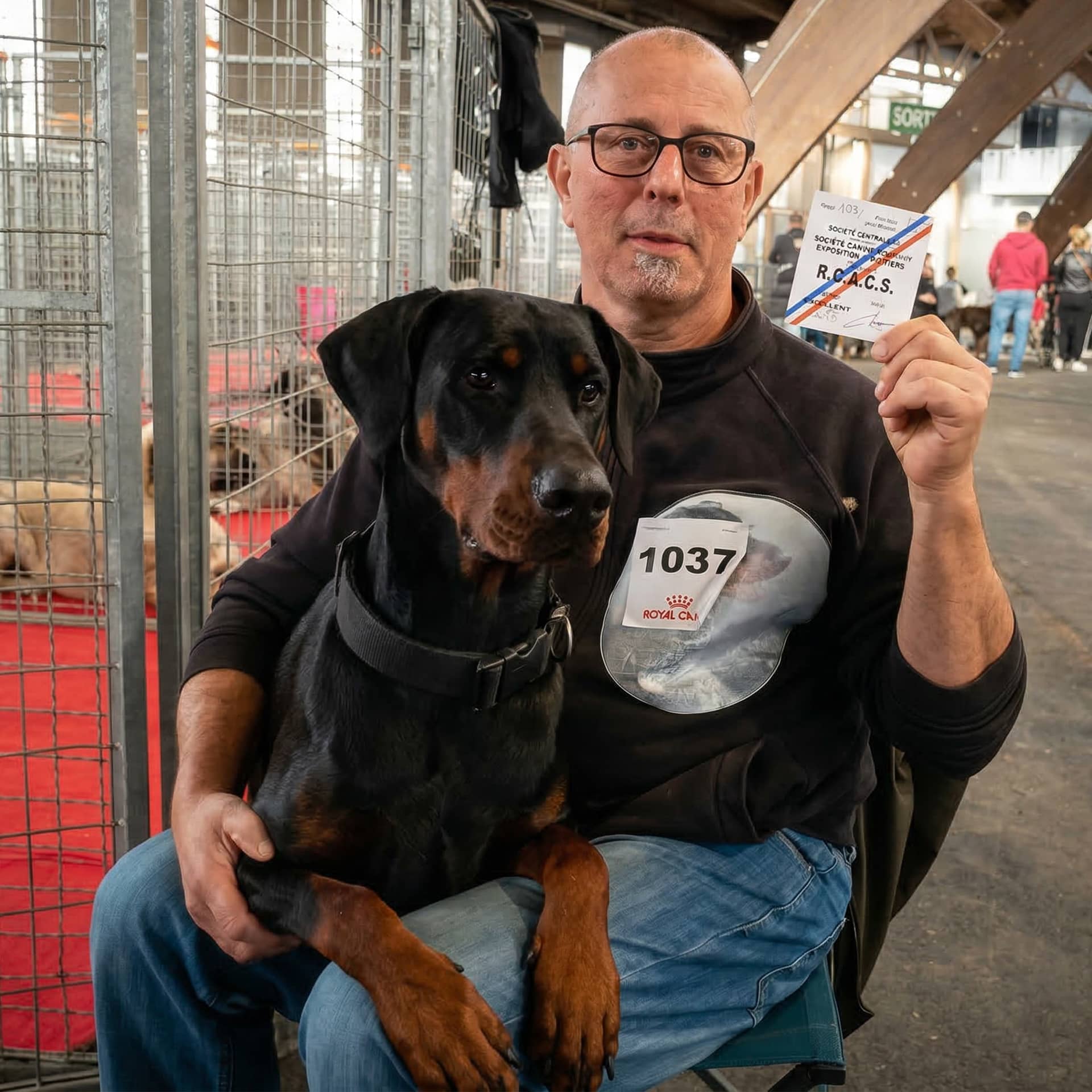 dobermann, dobbermann, doberman, dobermann, chien, tyson, indre, saillie, 36, champion, ring, beauté, beaute